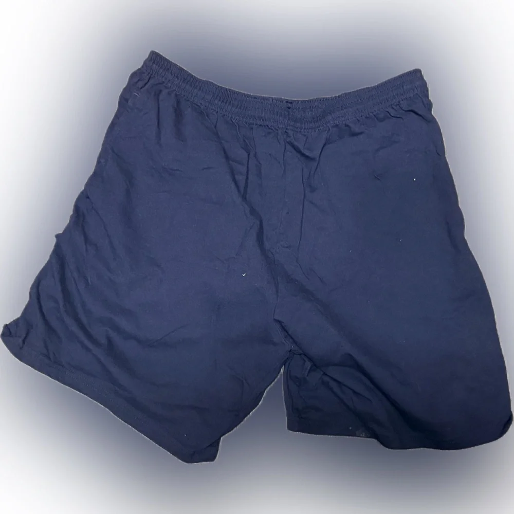 Hanes Blue Men's Boxers | Sz L